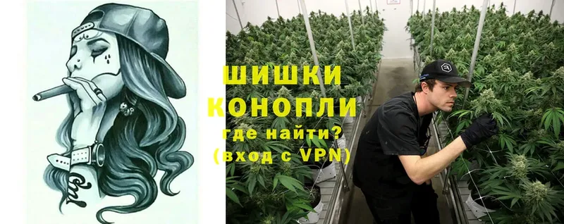 Конопля SATIVA & INDICA  Дятьково 